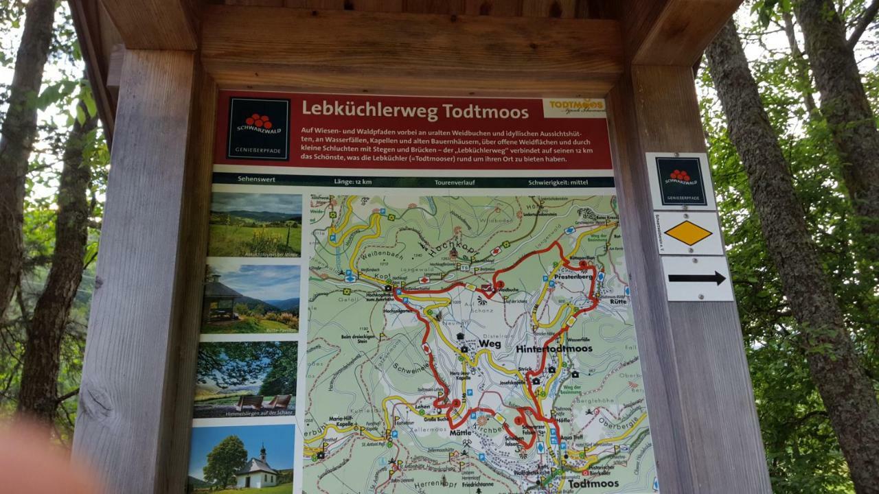Ferienwohnung Im Schwarzwald Тодтмос Екстериор снимка