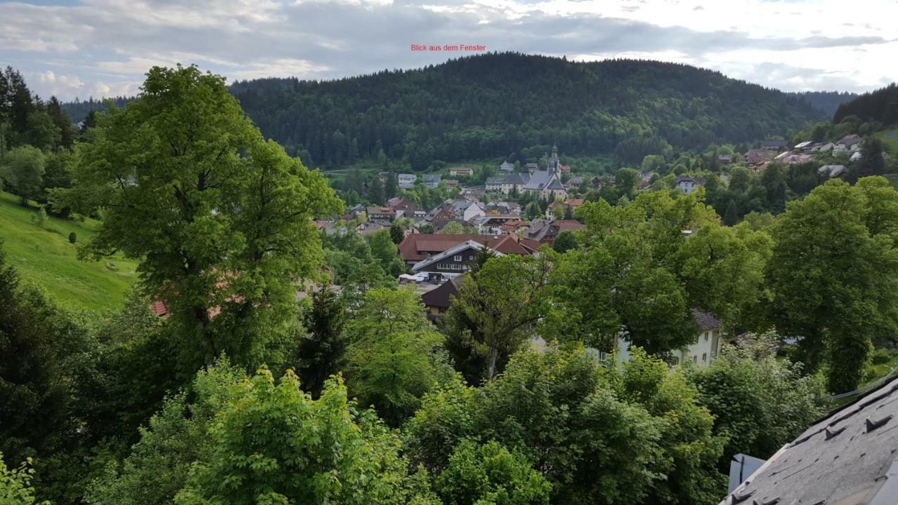 Ferienwohnung Im Schwarzwald Тодтмос Екстериор снимка