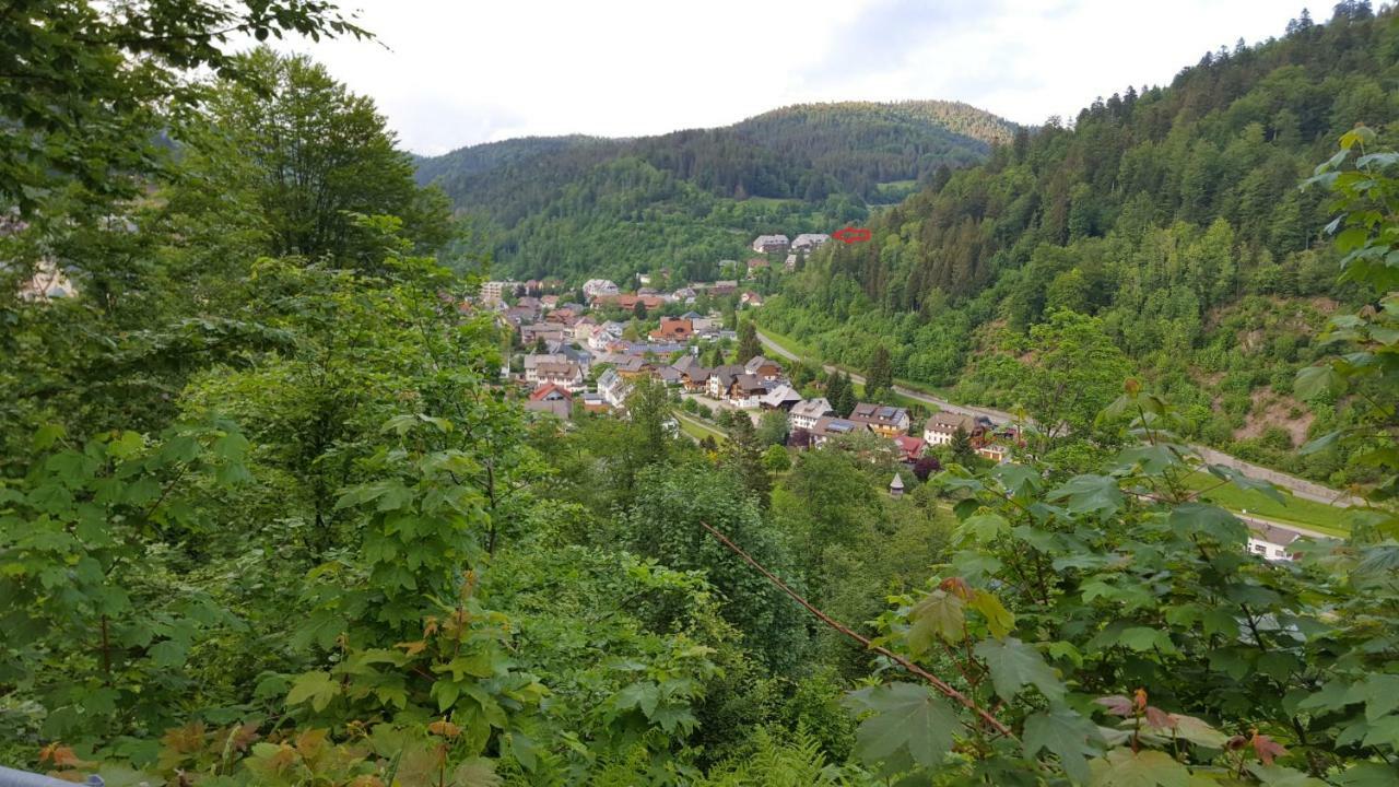 Ferienwohnung Im Schwarzwald Тодтмос Екстериор снимка